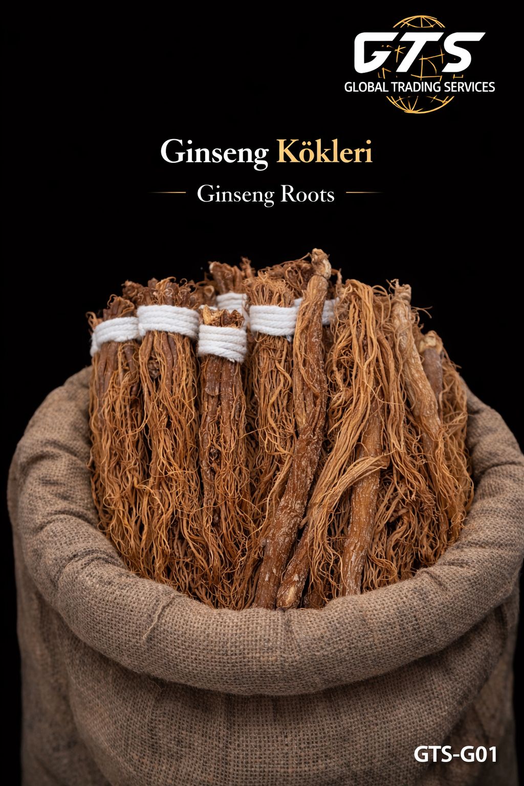 Ginseng K&ouml;kleri